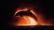 © FramePulse - Dolphin leaping from the water with an orange glow against a dark background.