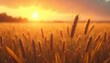 © miss irine - Golden wheat field during sunset with soft focus background and dramatic sky. Ripe cereal crop ready for harvest in warm sunlight. Peaceful rural landscape symbolizes growth and abundance.