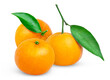 © Oleh - Ripe tangerine fruits with leaf. Fresh mandarin fruit with leaves on white background.