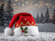 © Вікторія Судоргіна - santa claus hat in the snow
