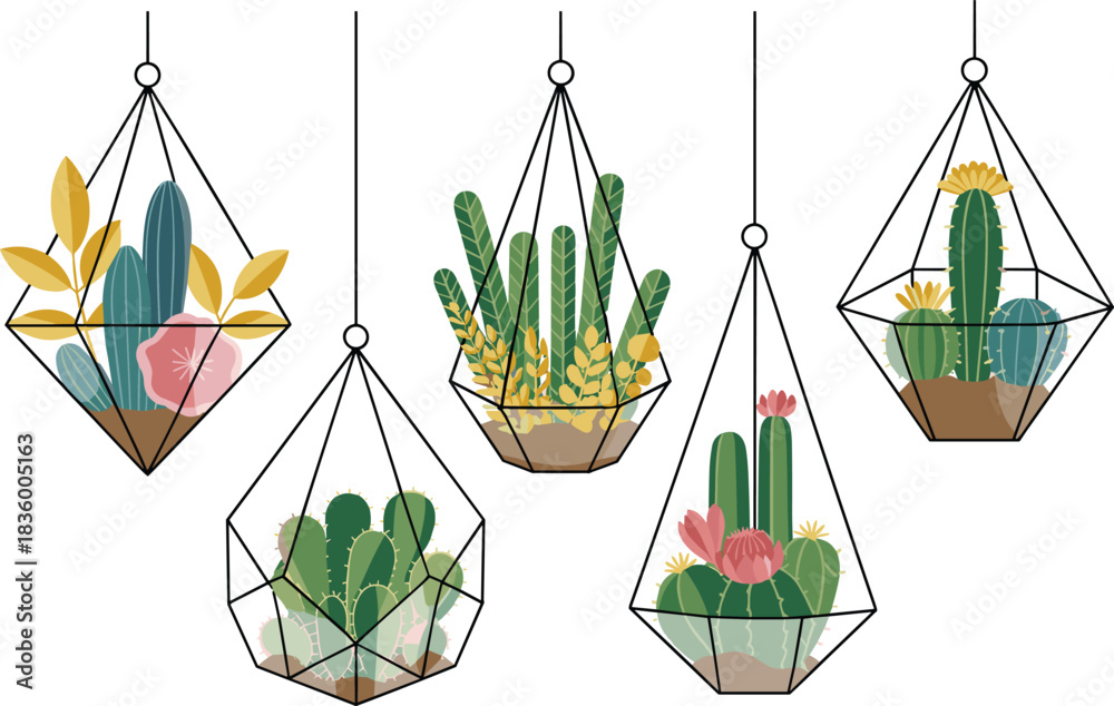 Hanging terrarium vector set with cactus, succulent plant illustration in geometric glass shapes, indoor garden decor clipart for botanical design, home