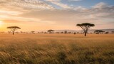 African savanna at dawn, long grass, acacia trees, and a golden sky