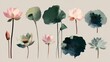 © Ipixeler - Watercolor Lotus Flowers Botanical Arrangement