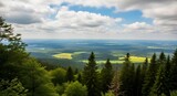 Panoramic View of Lush Green Forest, Rolling Hills, and Bright Yellow Fields under a Dramatic Cloudy Sky