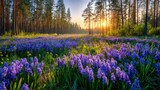 A vibrant field of purple hyacinth flowers stretches across a tranquil forest as the sun sets in the background. The atmosphere is calm, showcasing the beauty of nature.