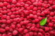 © New Africa - Fresh ripe raspberries and leaf as background, top view