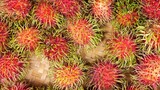 Red rambutan in the market.
