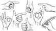 © Prosun Design - Collection of Engraved Hand Gestures Including Pointing Thumbs Up OK and Quill Writing Isolated on Transparent Background