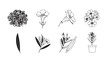 © iconworld - Hand drawn botanical elements collection delicate floral and leaf sketches for design projects vector