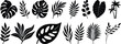 © Vector Store - Tropical leaves vector. Set of palm leaves silhouettes isolated on white background. vector set of tropical leaves with a simple silhouette style.Collection of black silhouette tropical leaves