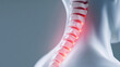 © syhin_stas - Human body showing cervical spine with red highlighting indicating pain, injury, or inflammation, representing neck discomfort and medical condition in anatomy visualization