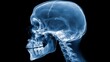 © Pixel Aria - Lateral X-Ray of Human Skull Showing Detailed Anatomy