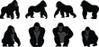 ©  Miller - Gorilla silhouette collection, black primate poses, cartoon ape shapes, animal anatomy icons, wildlife design, jungle creature illustration