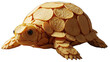 © Saba - Cute brown turtle isolated on a white background