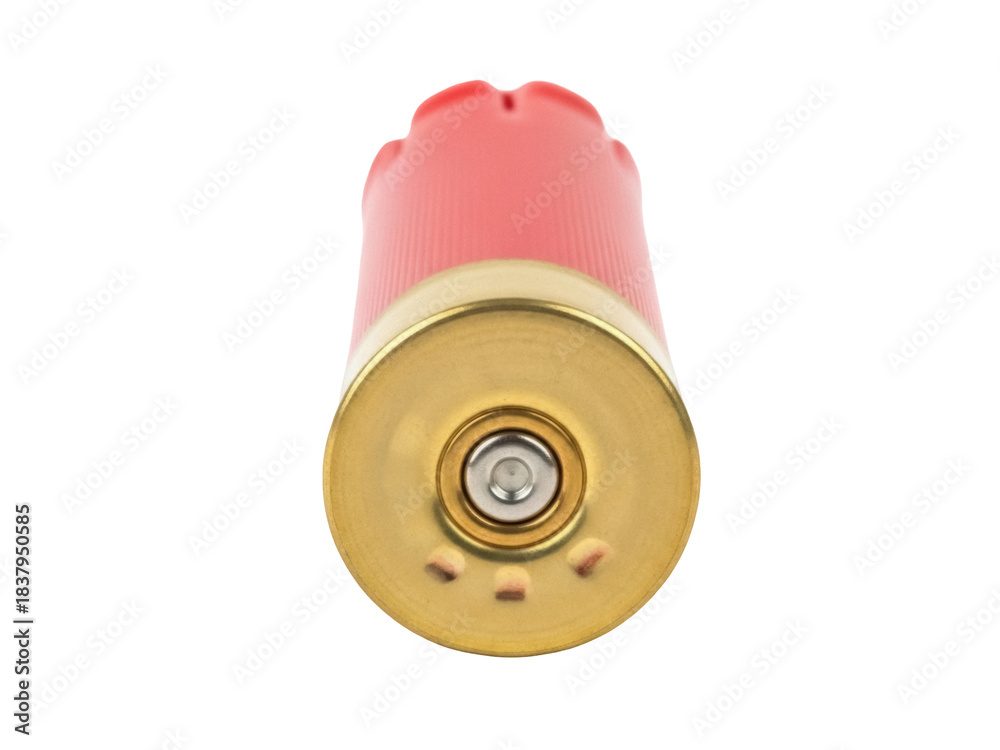 Isolated red and gold shotgun shell, a cartridge used in shotguns ...