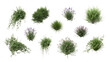 © Nazmul Hasan - Collection of diverse green garden plants and flowering bushes