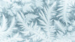 © Wasabi - Frost ice crystal texture on winter window glass