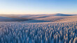 © ProArt Studios - An aerial perspective of a vast frozen spruce forest, its snow-covered branches sparkling under soft light in a tranquil winter landscape.