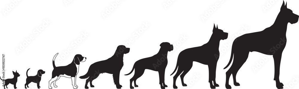 The Incredible Growth Stages Of A Great Dane Puppy From Newborn To