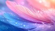 © CHOISH - 파스텔 네온 깃털과 물방울 클로즈업 Pastel Neon Feathers with Water Droplets Close-Up