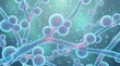 © Philipp - 3D microscopic fungal cells and hyphae network, medical infection background