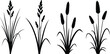 © Obaidul Vector Zoon - Black silhouette of four different types of grass plants on white background vector