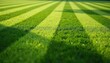 © Viktor - Close up photo of green lawn with striped pattern. Freshly mowed grass shines in sunlight. Texture of lush grass creates clean outdoor look. Landscape lawn care gardening.