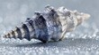 © toy - Seashell on glittery surface