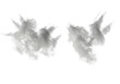© Sofia - three plumes of ultra-fine white powder frozen in dynamic, abstract shapes. hyper-realistic macro with strong rim light on a transparent background, copy space. concept for luxury product