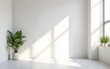 © Michael - Minimalist Pastel pale light neutral gray empty room interior blank wall background backdrop with plants window light shadows for online presentations webinars and virtual meetings teams video call