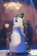 © Cristina - Elegant wedding cake stands tall at a festive reception with a soft glow and blurred background of guests enjoying the event