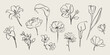 © Anna Volkova - Hand drawn botanical line art set with different flowers.  Vintage floral elements with ink brush effect. Sketch lily, calla, peony, tulip, daisy, rose