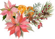 © milavas - Watercolor Christmas Floral Arrangement with Poinsettias