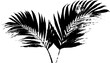 © Artem - Black and white stencil illustration of wide palm leaves for artistic design