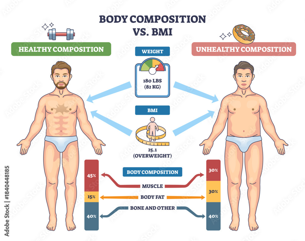 Body composition vs BMI comparison shows how muscle and fat affect ...