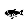 © vectorwin - fish plastic pieces stomach glyph icon vector illustration