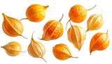 Floating Cape Gooseberries Collection PNG Background.