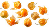 Floating Cape Gooseberries Collection PNG Transparent.