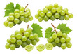 © vizual - ultra-detailed photorealistic macro shot of four plump, glossy emerald green table grape clusters with leaves, perfectly isolated on a brilliant white studio background. Concept for fresh produce