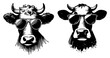 © Luka - Two cool cow heads wearing sunglasses, vector illustration, funny farm animal portraits with glasses, hipster bull sketch design
