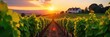 © Hugnaka - Sun-drenched rows of grapevines stretching towards a picturesque winery building at sunset Rolling hills and vibrant foliage create a stunning vineyard landscape , sunlit, wine country, country