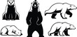 © OKAN - Line art polar bear set in multiple poses sitting front roaring standing walking lying side view stencil black and white vector icons bold silhouette close up