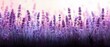 © AIGC JOE - A captivating panorama of lavender flowers in various shades of purple, creating a serene and calming atmosphere in a vibrant field.