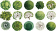 © Pixel Park - Collection of fifteen diverse green trees viewed from directly above in a top down perspective with watercolor style rendering