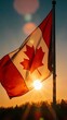 © Video80X - Silhouette of a Canadian flag against a sunset, great for artistic projects or cultural representations.