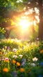 © Toang - Vibrant wildflowers bloom in a sun-drenched meadow during golden hour.