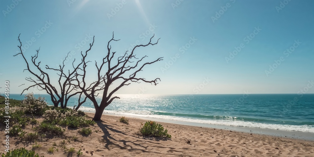 Dry trees in a barren landscape highlight climate change impacts ...