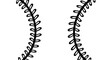 © Ummu MMM - Detailed line drawing of baseball stitches creating a sense of anticipation and excitement