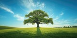 Majestic tree standing in a rural field serving as a natural landscape feature