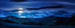 © Pellinni - panorama of beautiful countryside in summer at night. alpine landscape with forested mountains and grassy field under sky with clouds in full moon light. finance investment or abstract concepts